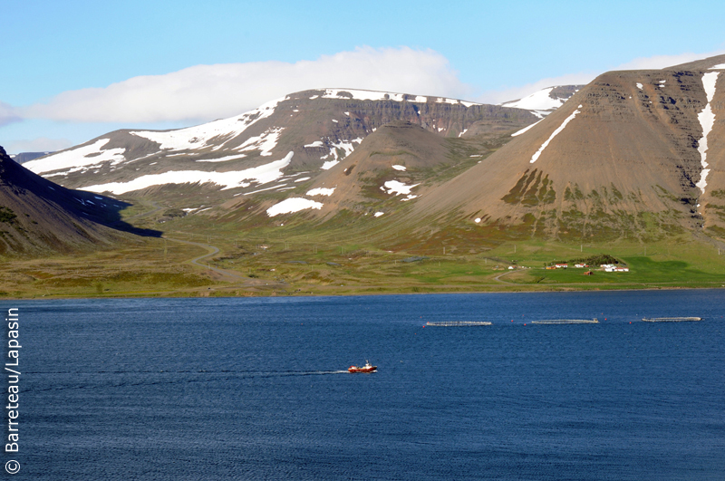 Les photos de Pingeyri à Dynjandi en Islande