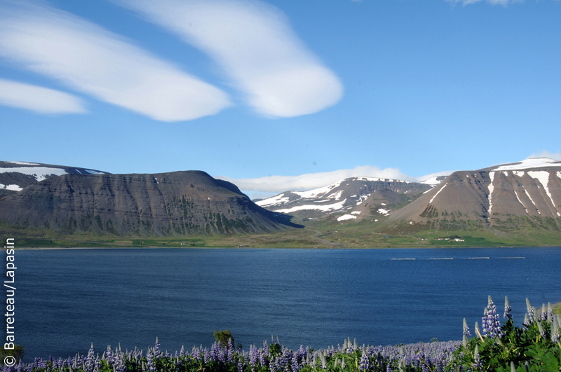 Les photos de Pingeyri à Dynjandi en Islande