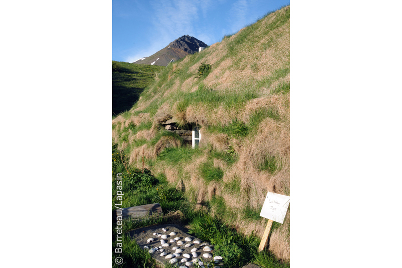 Les photos de Pingeyri à Dynjandi en Islande