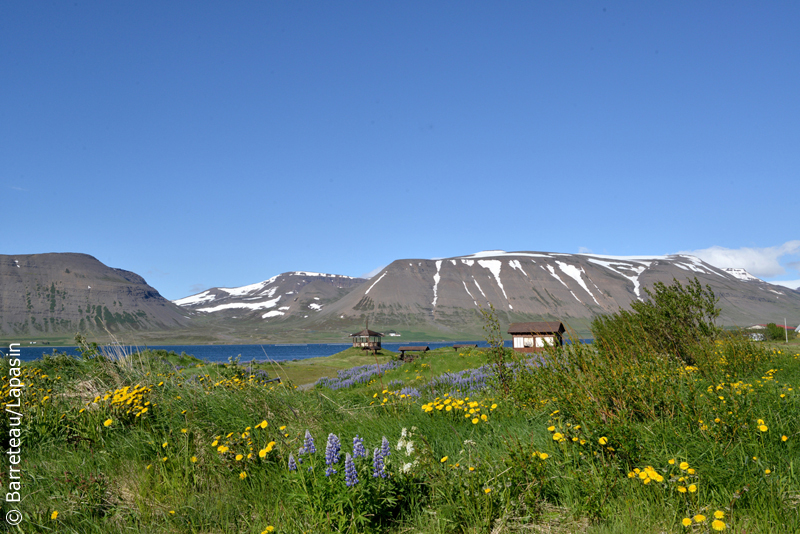 Les photos de Pingeyri à Dynjandi en Islande