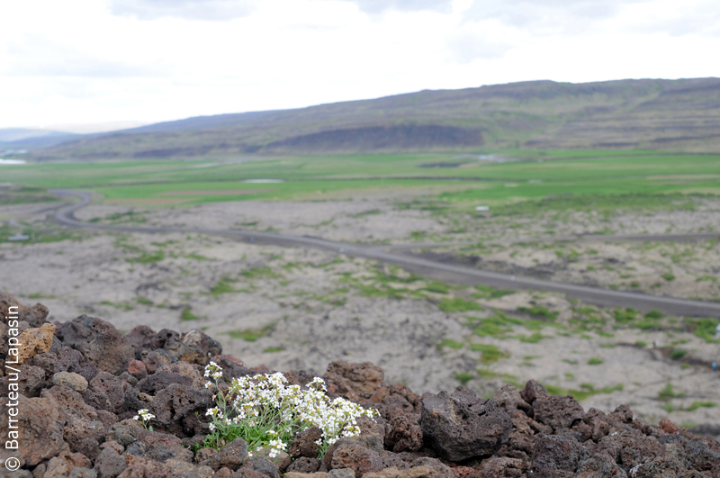 Les photos de Reykjanesbaer à Grabrok en Islande