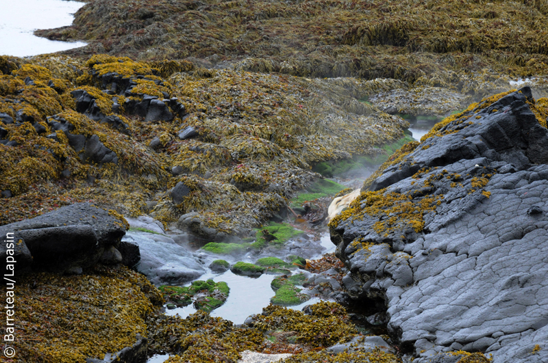 Les photos de Reykjanesskagi