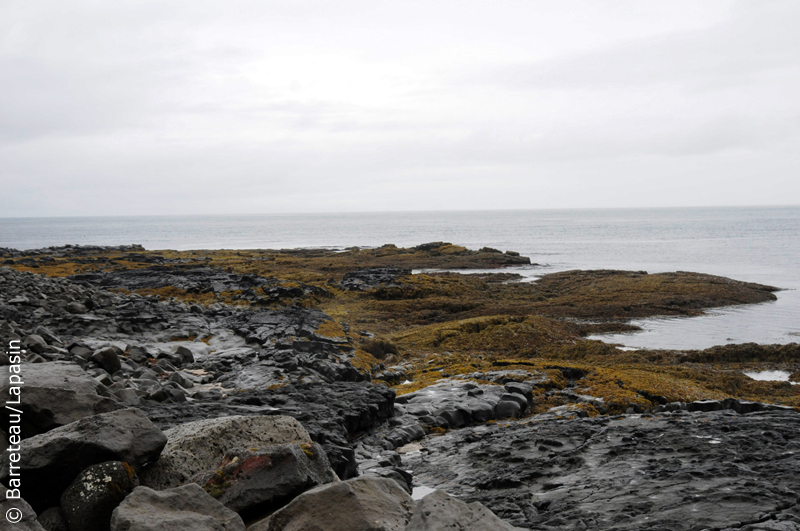 Les photos de Reykjanesskagi