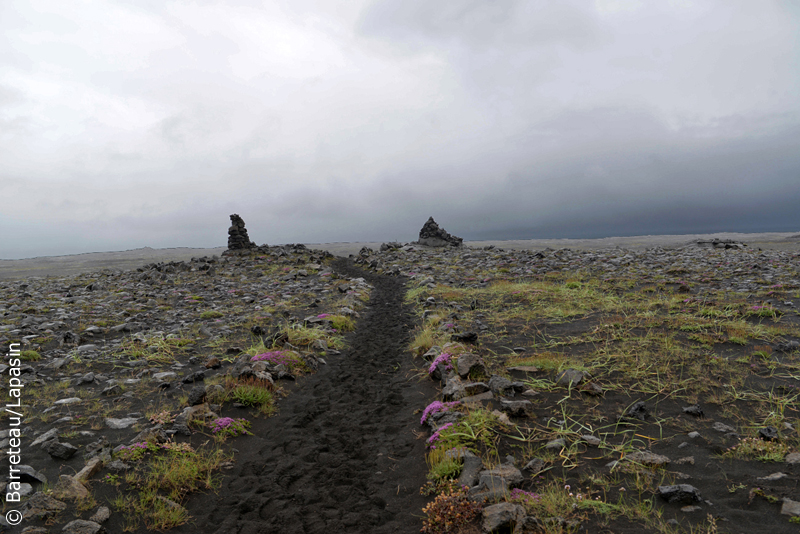 Les photos de Reykjanesskagi