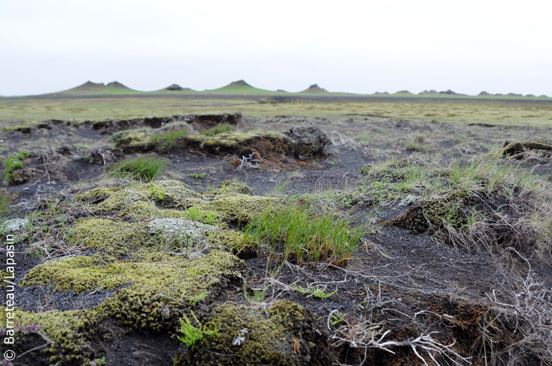 Les photos du sud de l'Islande