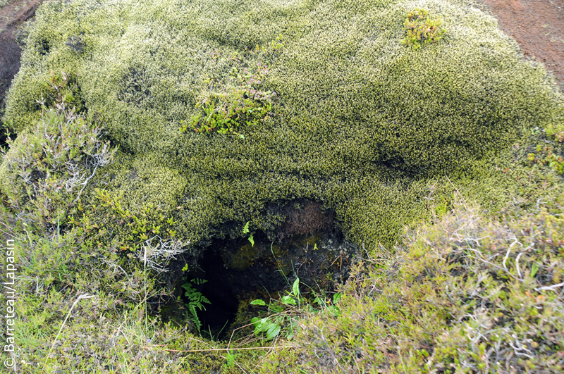 Les photos du sud de l'Islande