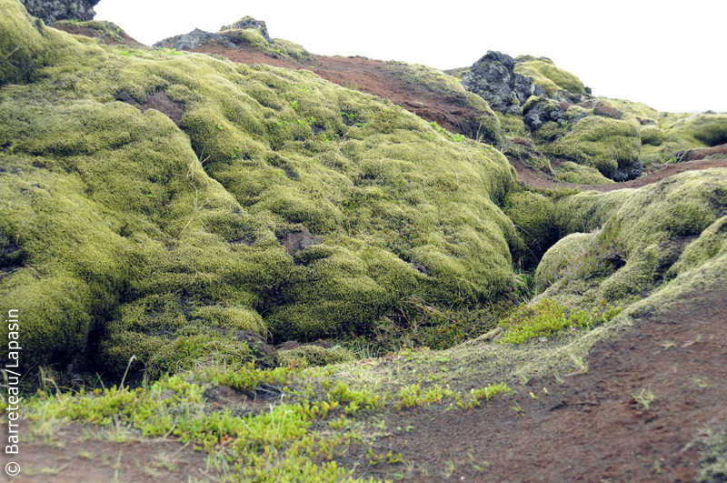 Les photos du sud de l'Islande