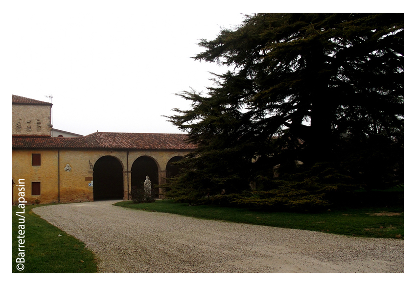 Quelques photos d'une balade à Roncade/Treviso