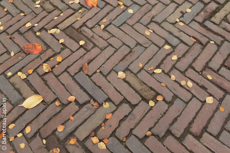 L'atmosphère le jour à Utrecht