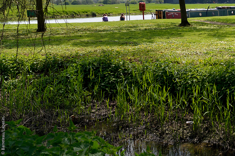 Une balade à Huntingdon au Royaume-Uni.