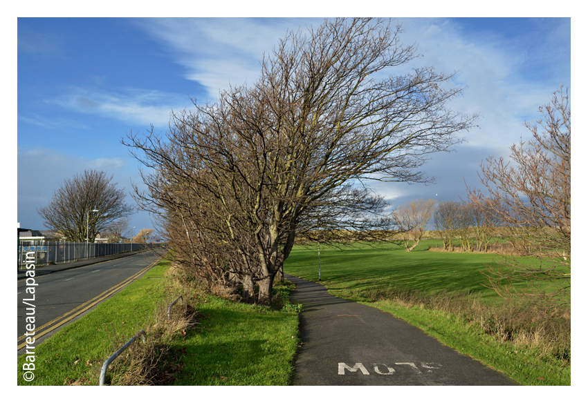 Les photos d'une balade à Prestatyn, station balnéaire au Pays-de-Galles au Royaume-Uni.