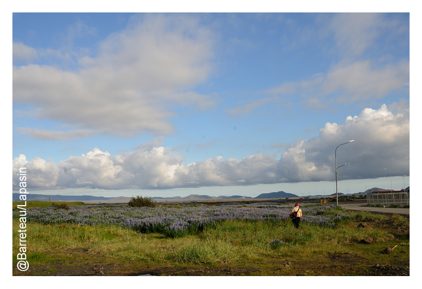 Les photos de l'atmosphère le 03/07/2015 aux ATP Iceland.