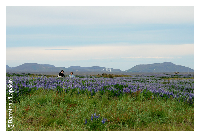 Les photos de l'atmosphère le 04/07/2015 aux ATP Iceland.