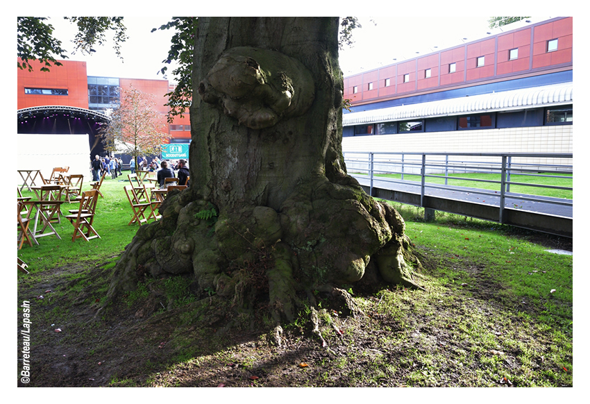 Des photos de l'atmosphère de l'Incubate le 20 septembre 2015 à Tilburg aux Pays-Bas.