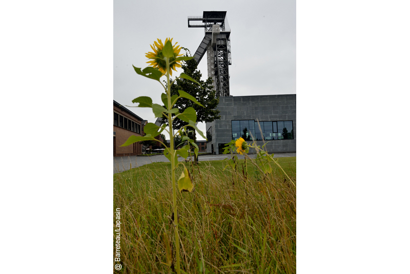 Les photos du C-Mine à Genk en Belgique.