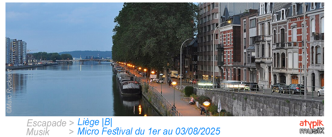 Liège en Belgique où se déroule le Micro Festival.